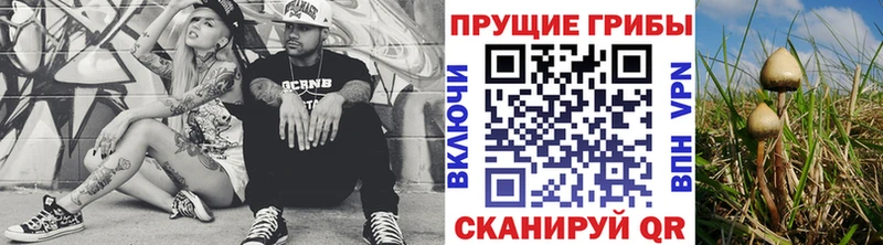 где купить наркоту  Белёв  Псилоцибиновые грибы ЛСД 